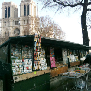 i bouquiniste a Parigi: libri usati e antichi sulle sponde della Senna