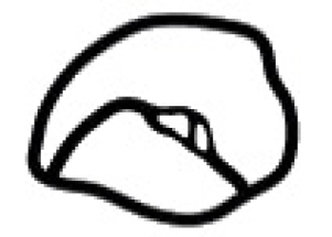 zone e quartieri di Parigi...