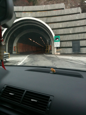 infoparigi diario 2009 102