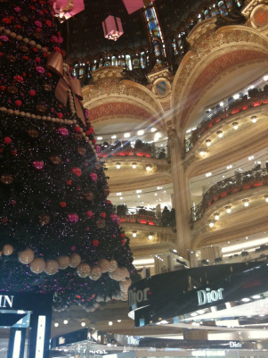 infoparigi diario 2009 238