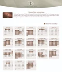 disneyland pass 2025 2026 calendario bronze