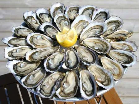 ostriche