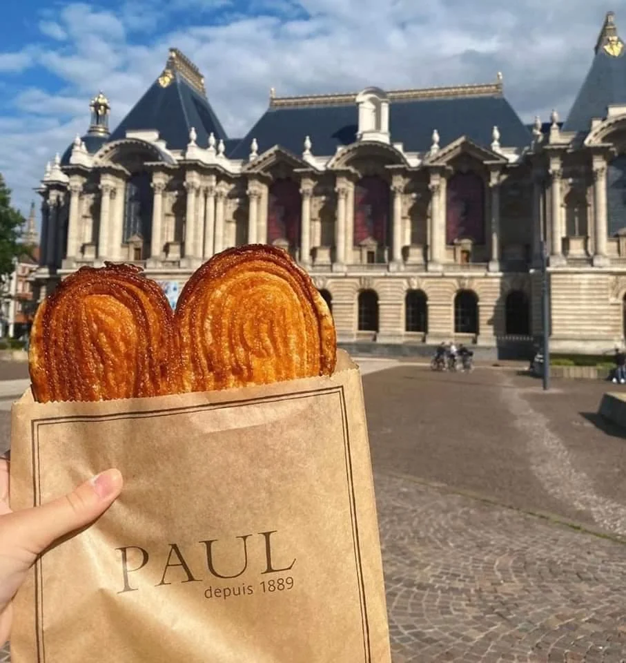 palmier