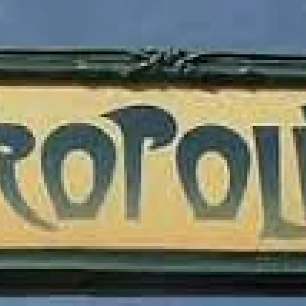 Hector Guimard - le entrate della metropolitana a Parigi...