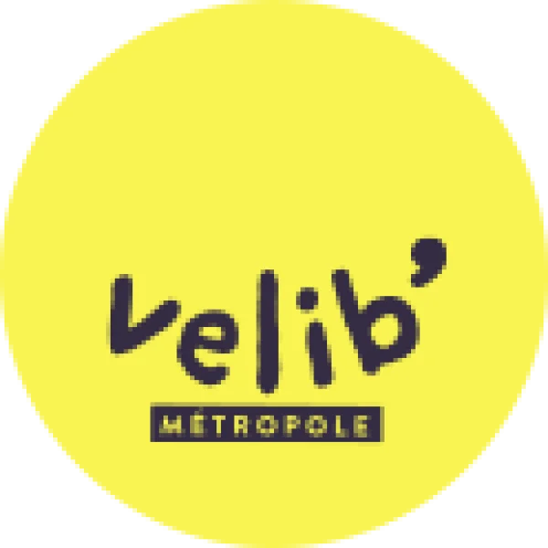 Parigi in bicicletta: VELIB e altri...