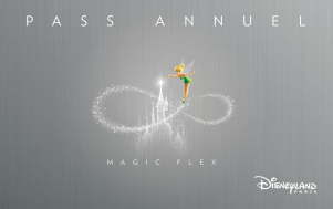 passaporto annuale Magic Flex per Disneyland Paris