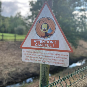 apicoltori e miele a disnyland paris