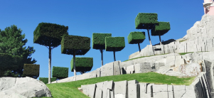 alberi quadrati sotto al castello di Disneyland Paris