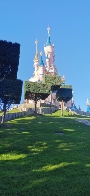 alberi quadrati sotto al castello di Disneyland Paris