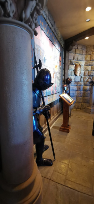 guardiani che russano nel castello di Disneyland Paris