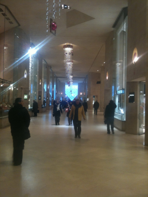 infoparigi diario 2009 201