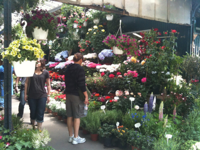 mercato Marchè aux Fleurs