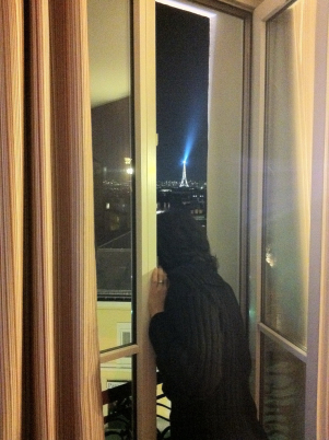 vista dalla camera del hotel regyns montmartre a parigi