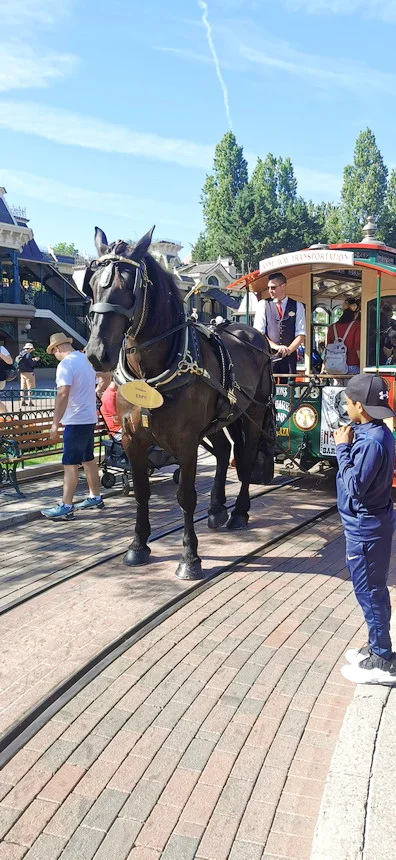carrozza a cavallo in Main street U.S.A. a Disneyland Paris